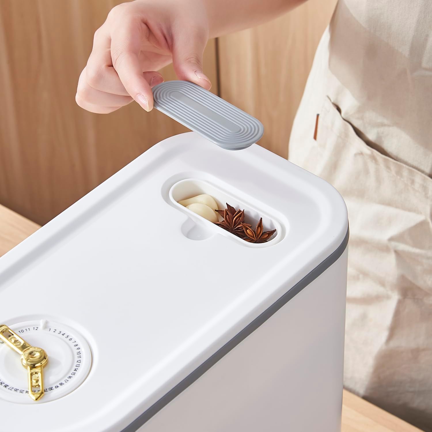 Rice Dispenser, 11 Lbs Grain Container Storage with Lid