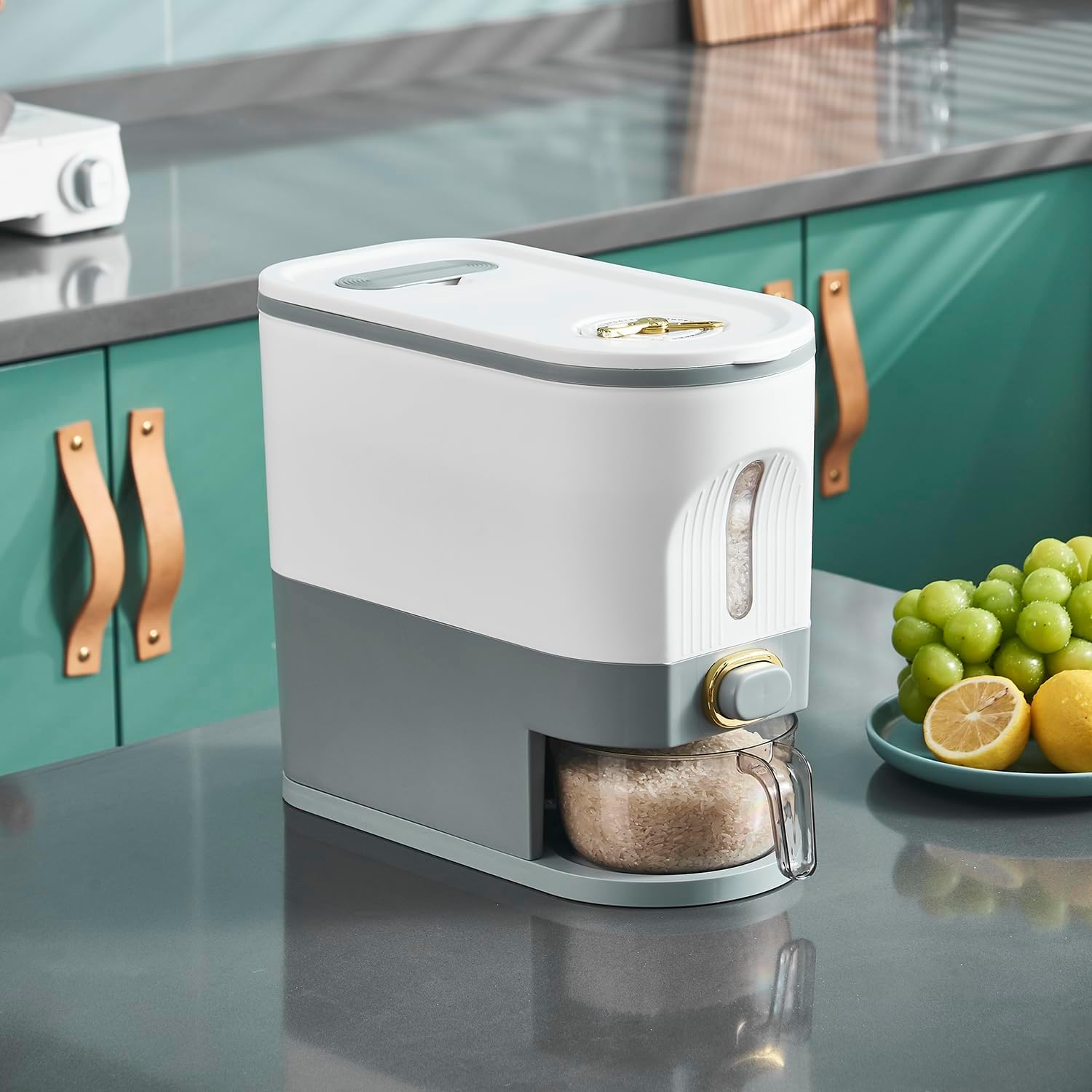 Rice Dispenser, 11 Lbs Grain Container Storage with Lid