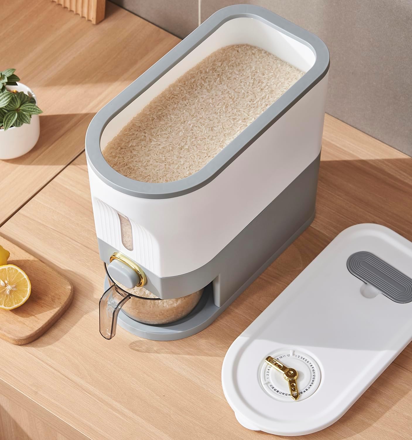 Rice Dispenser, 11 Lbs Grain Container Storage with Lid